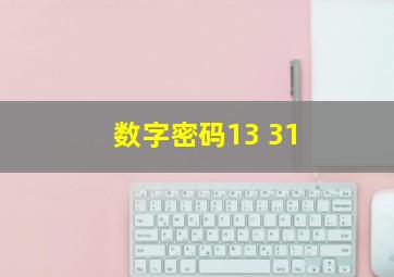 数字密码13 31